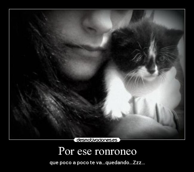 Por ese ronroneo - que poco a poco te va...quedando...Zzz...