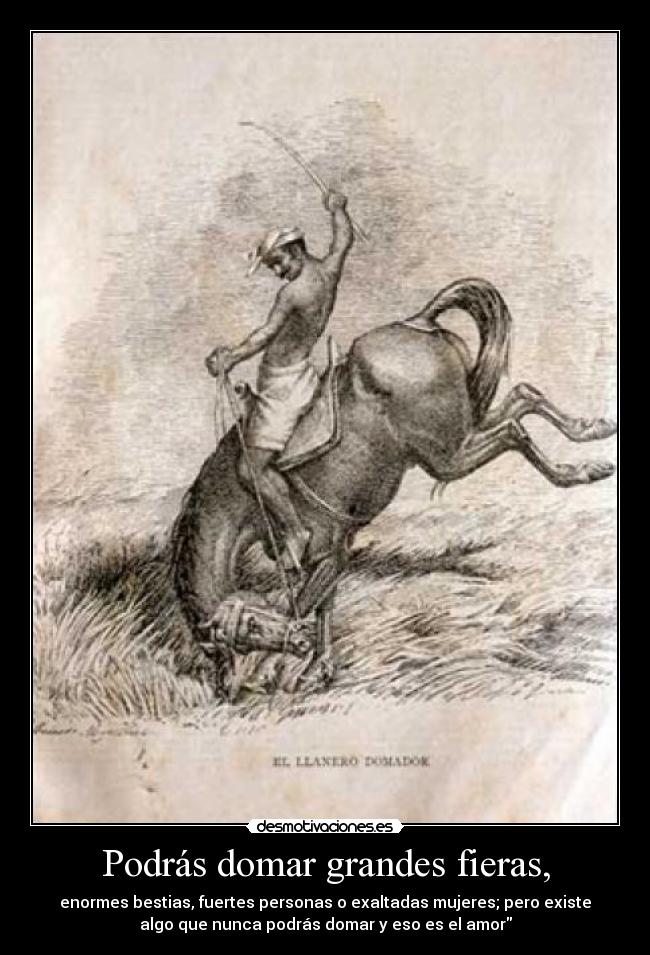 Podrás domar grandes fieras, - enormes bestias, fuertes personas o exaltadas mujeres; pero existe
algo que nunca podrás domar y eso es el amor