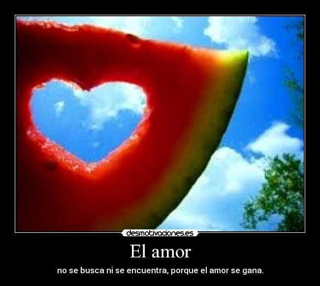 El amor - no se busca ni se encuentra, porque el amor se gana.