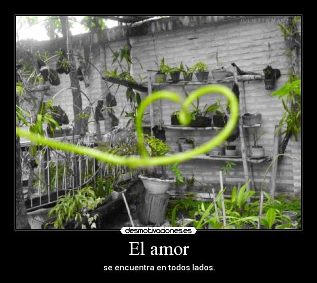 El amor - se encuentra en todos lados.