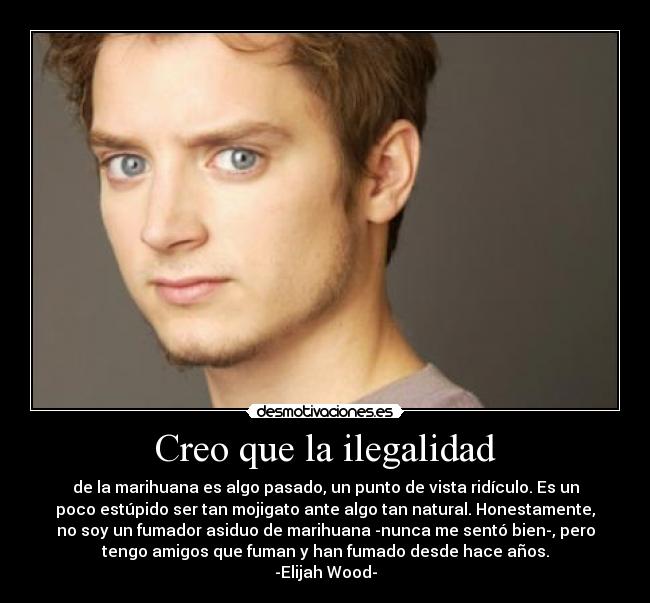 Creo que la ilegalidad -