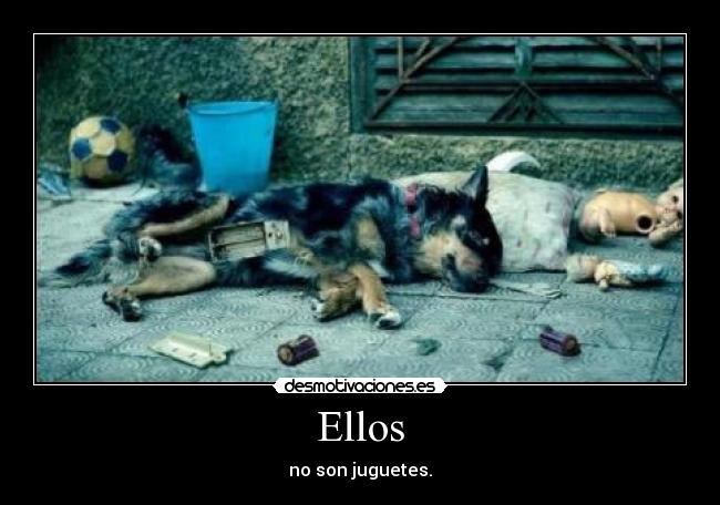 Ellos - no son juguetes.