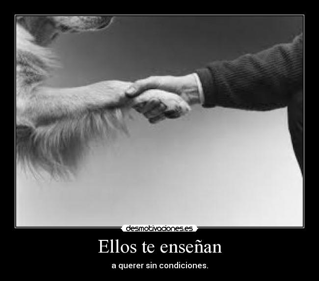Ellos te enseñan -