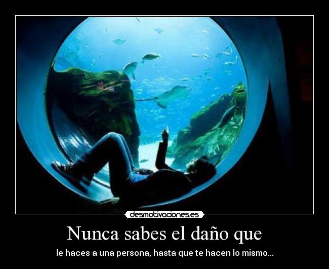 carteles manta raya humano ahi relacion pff tengo imagenes desmotivaciones