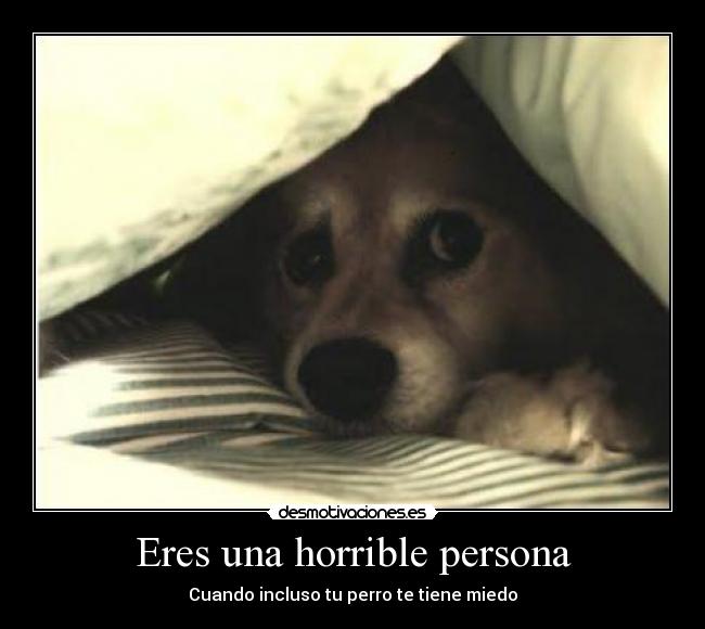 Eres una horrible persona - Cuando incluso tu perro te tiene miedo
