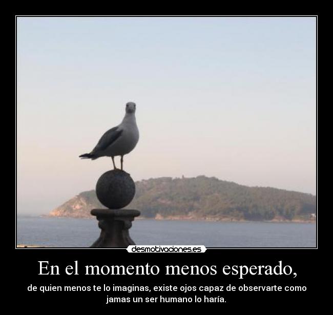 En el momento menos esperado, - 