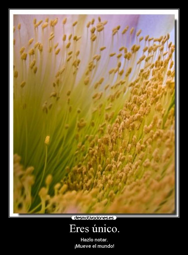 Eres único. - Hazlo notar.
¡Mueve el mundo!