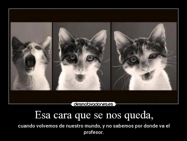 Esa cara que se nos queda, -