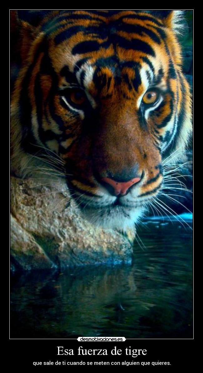 Esa fuerza de tigre -