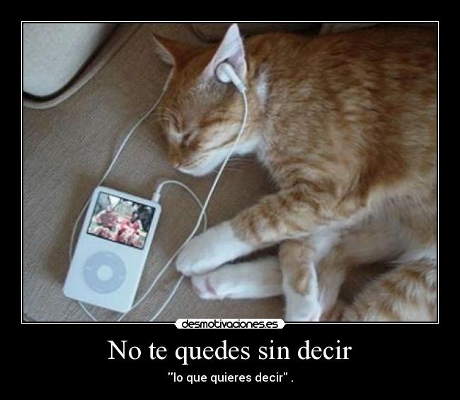 No te quedes sin decir - lo que quieres decir .