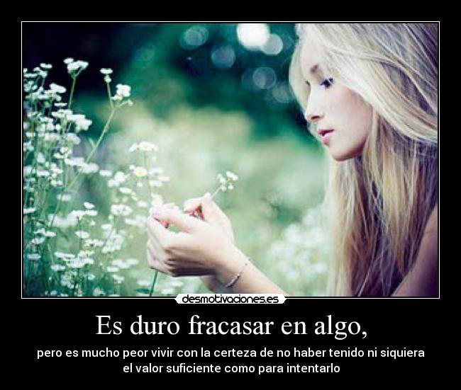 carteles fracaso desmotivaciones