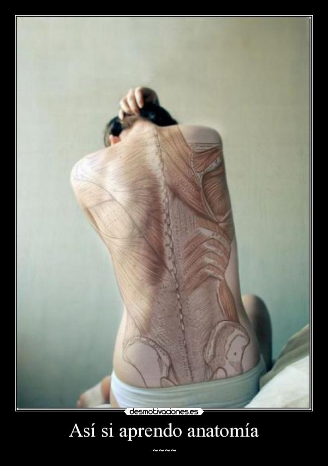 carteles asi aprendo anatomia desmotivaciones
