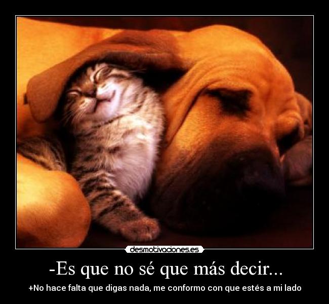 -Es que no sé que más decir... - +No hace falta que digas nada, me conformo con que estés a mi lado
