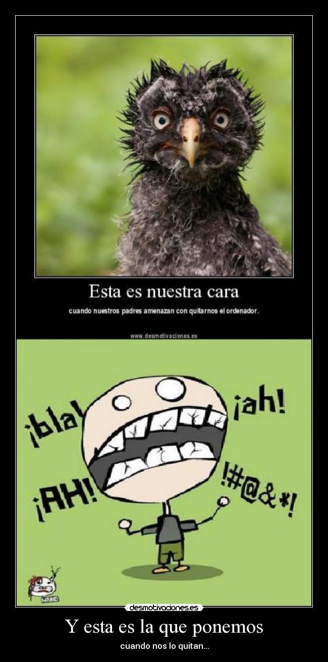 Y esta es la que ponemos - cuando nos lo quitan...