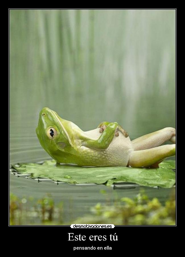 Este eres tú -