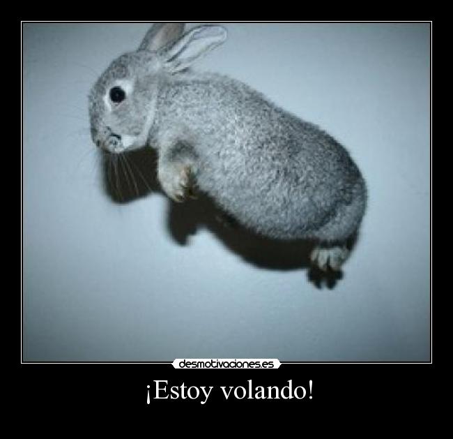 ¡Estoy volando! -