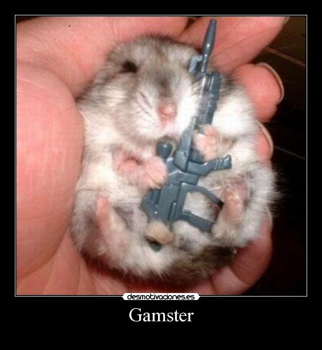 Gamster -