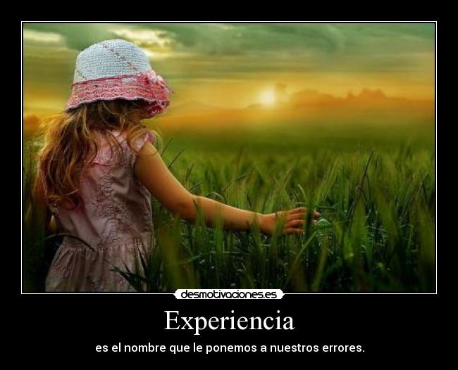 Experiencia - 