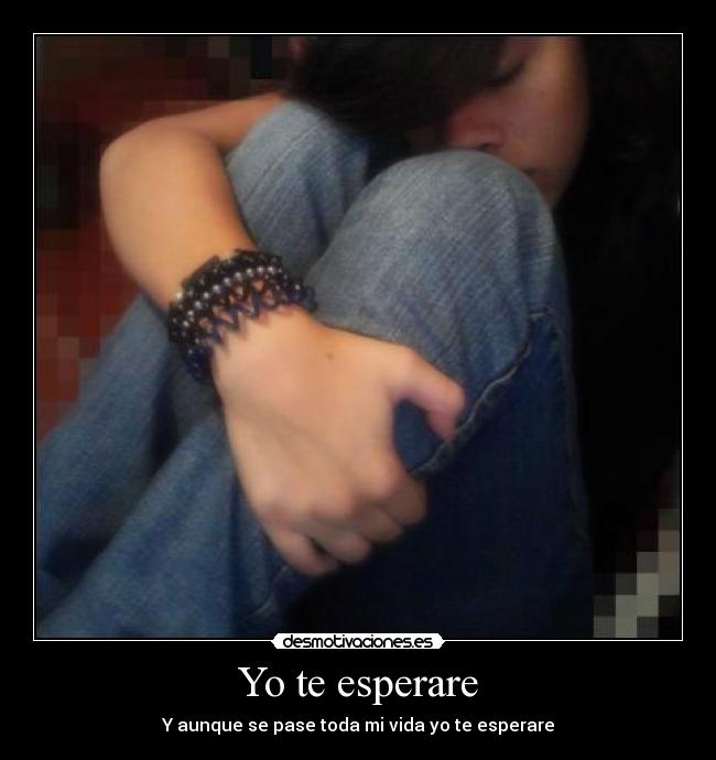 Yo te esperare -