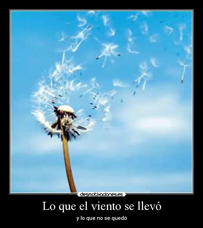 carteles que viento llevo desmotivaciones