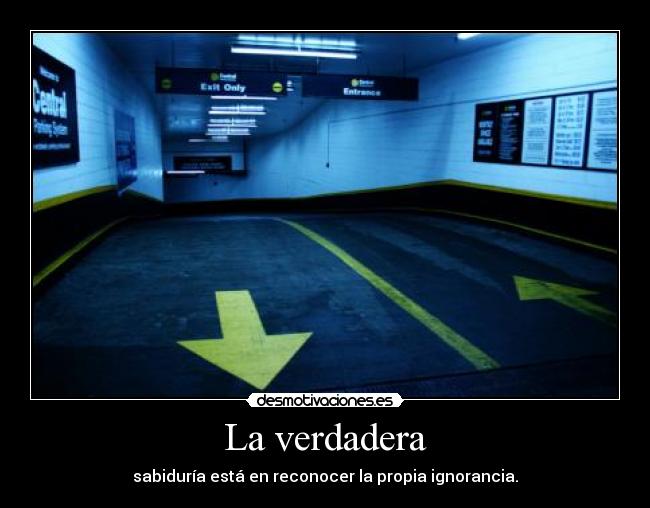 carteles sea sobrao por vida efejota desmotivaciones