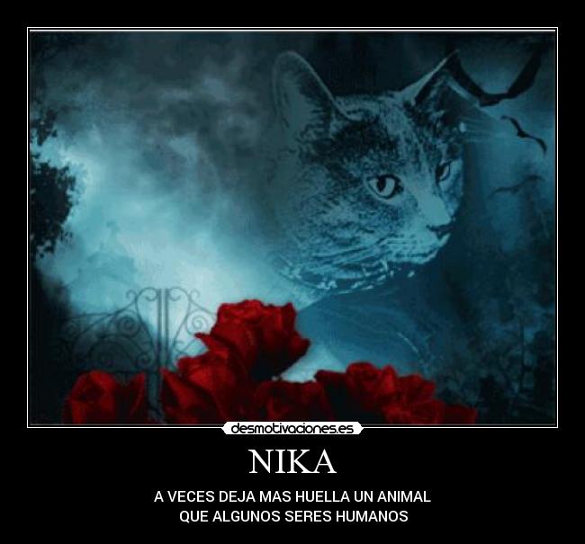 NIKA - A VECES DEJA MAS HUELLA UN ANIMAL
QUE ALGUNOS SERES HUMANOS