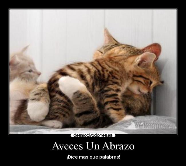 Aveces Un Abrazo - 