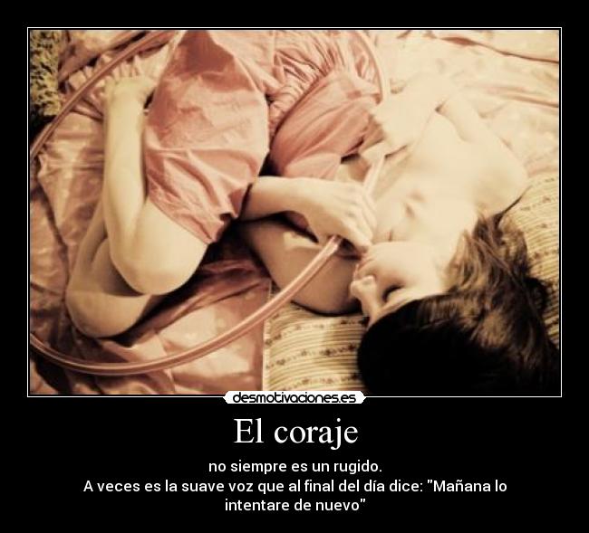 carteles nuevo nuevo nuevo desmotivaciones