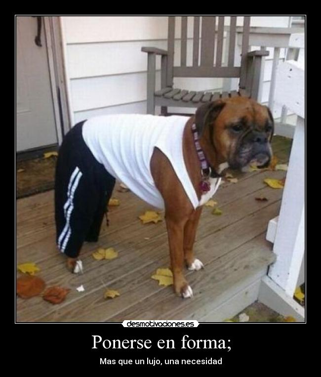 Ponerse en forma; -