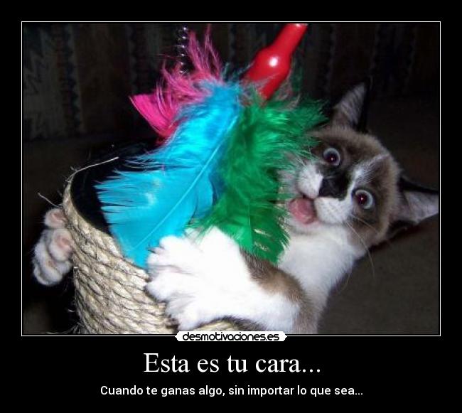 Esta es tu cara... -