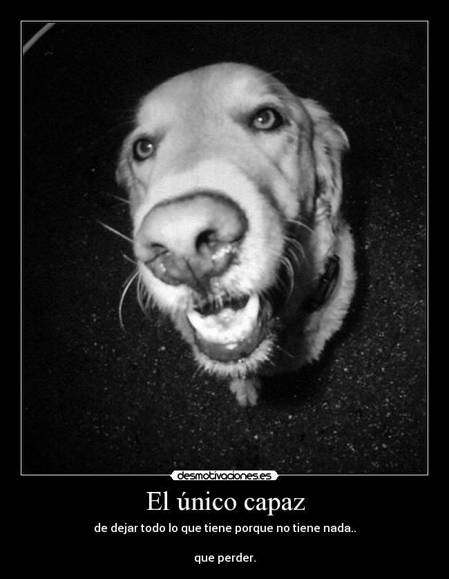 El único capaz - de dejar todo lo que tiene porque no tiene nada..

que perder.