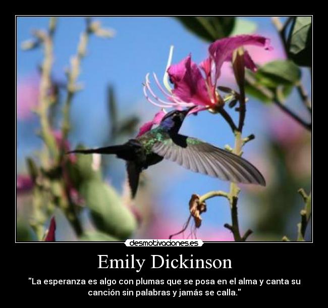 Emily Dickinson - La esperanza es algo con plumas que se posa en el alma y canta su
canción sin palabras y jamás se calla.