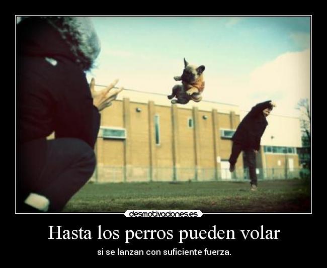 Hasta los perros pueden volar - si se lanzan con suficiente fuerza.