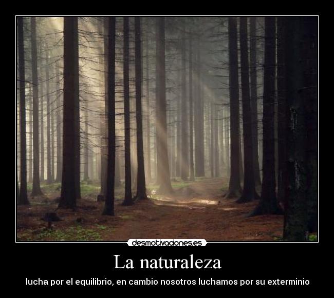 La naturaleza - 