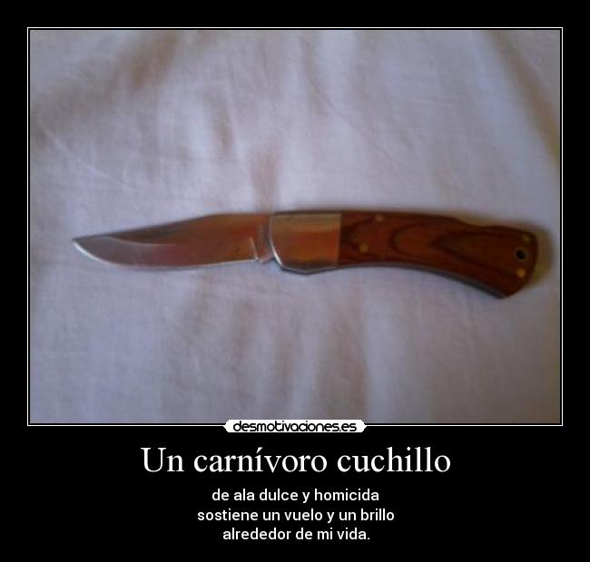 Un carnívoro cuchillo - de ala dulce y homicida
sostiene un vuelo y un brillo
alrededor de mi vida.