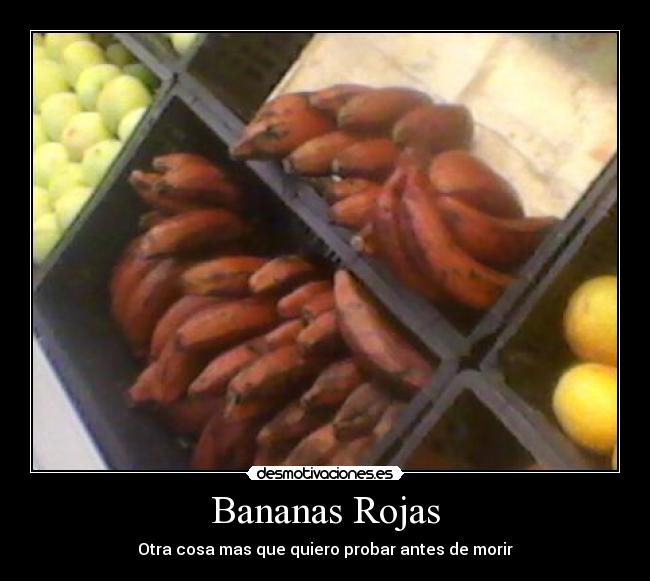 Bananas Rojas - Otra cosa mas que quiero probar antes de morir
