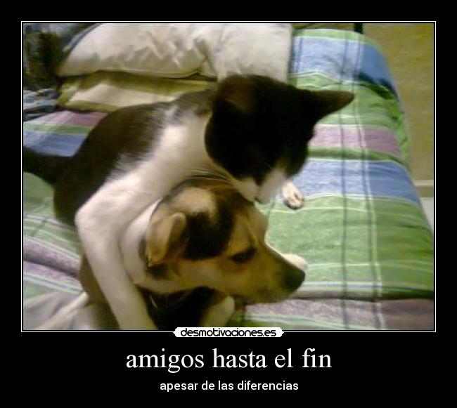 amigos hasta el fin - 