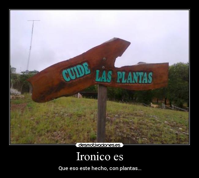Ironico es - Que eso este hecho, con plantas...