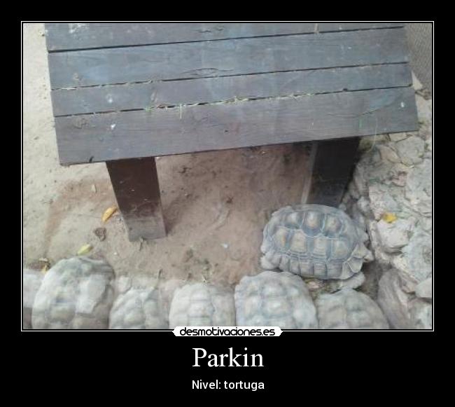 Parkin - Nivel: tortuga