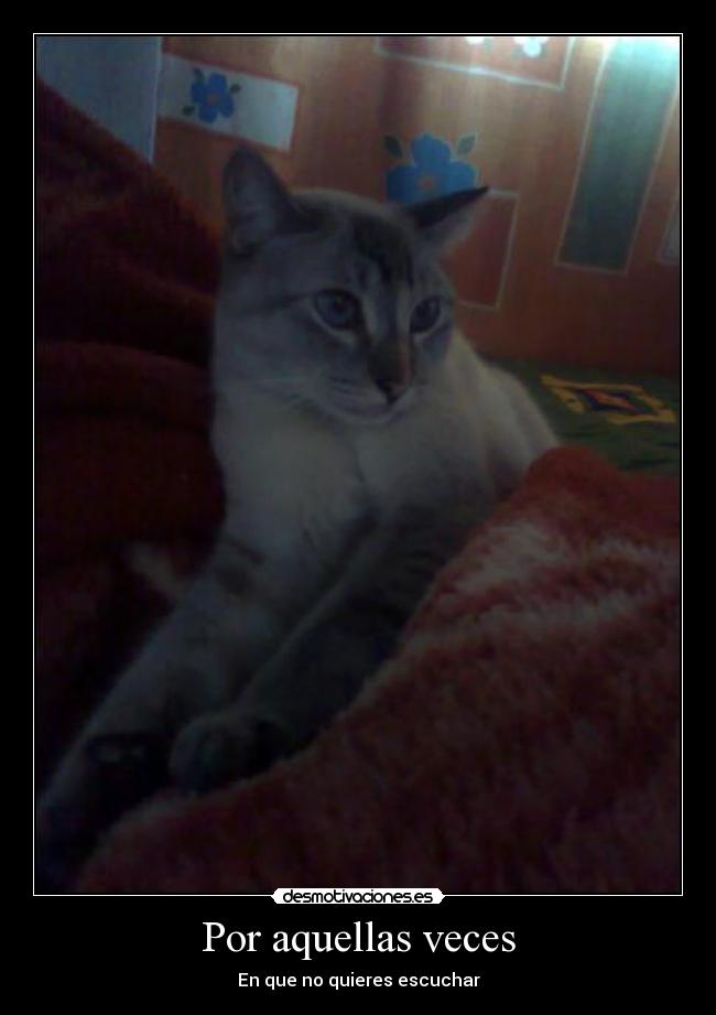 Por aquellas veces - En que no quieres escuchar