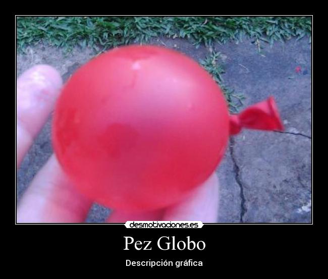 Pez Globo - Descripción gráfica