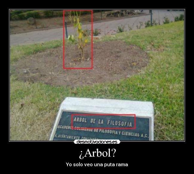 ¿Arbol? - 