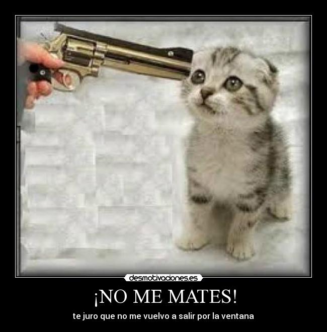 ¡NO ME MATES! -