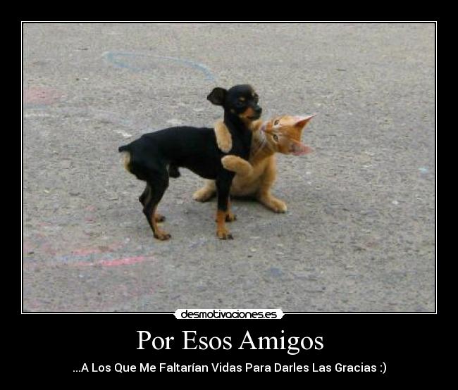 Por Esos Amigos -