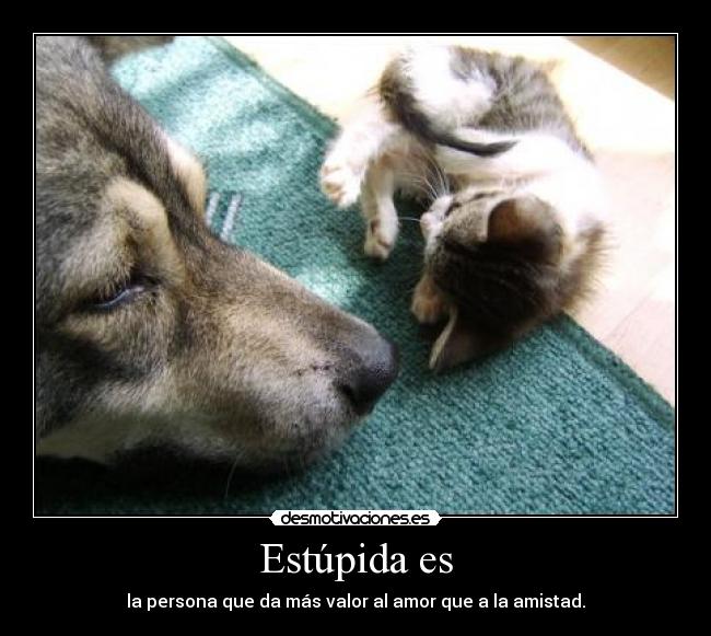 Estúpida es - la persona que da más valor al amor que a la amistad.