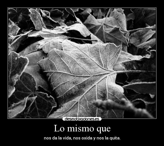 Lo mismo que - nos da la vida, nos oxida y nos la quita.