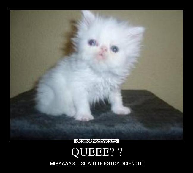 QUEEE? ? - MIRAAAAS.....SII A TI TE ESTOY DCIENDO!!