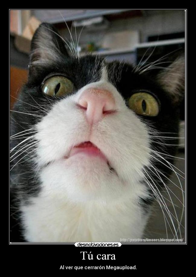 Tú cara -