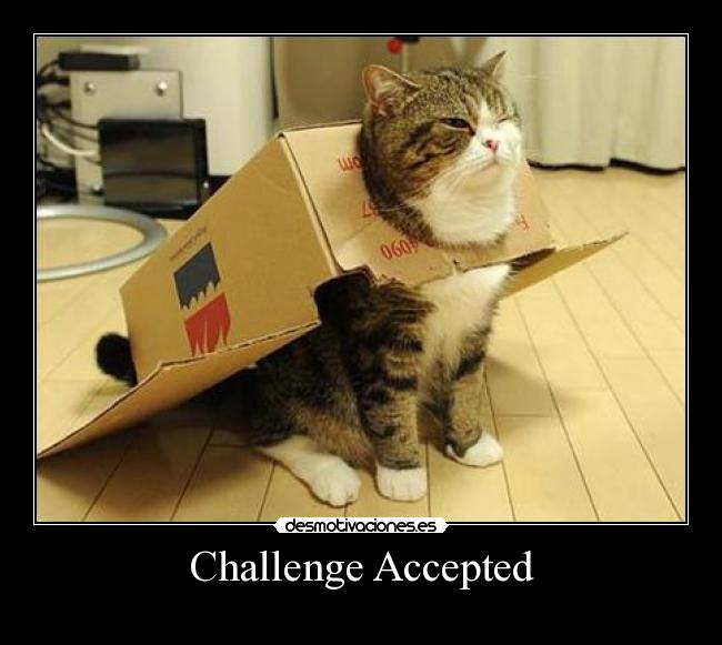 Challenge Accepted -
