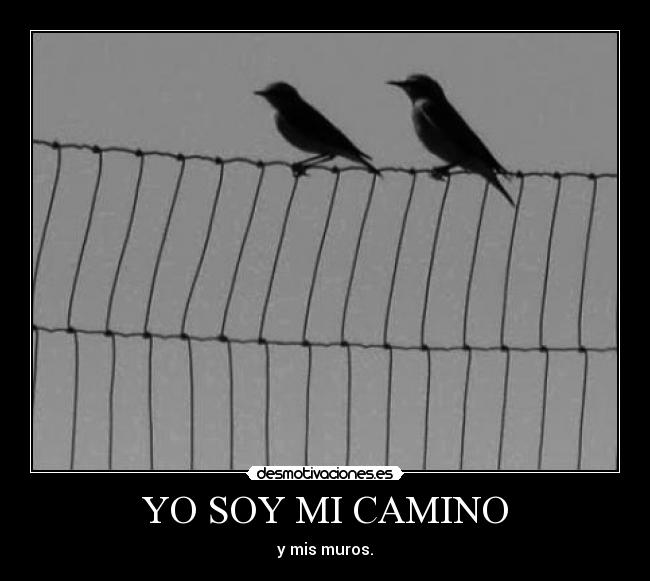 YO SOY MI CAMINO -